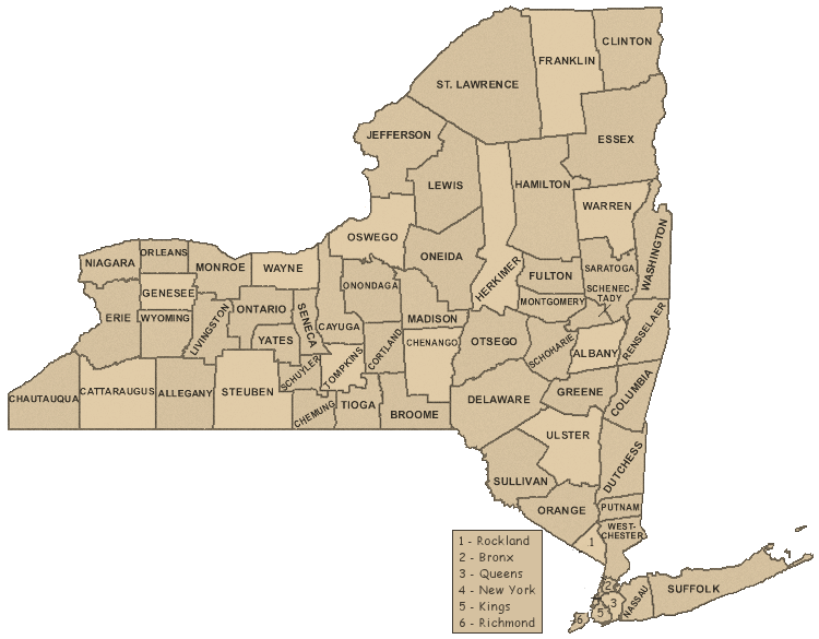 New York County Map